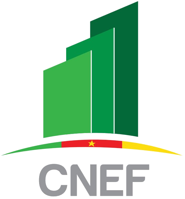CNEF - Comité National Economique et Financier
